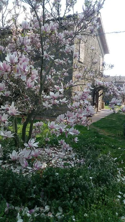 Agriturismo Solidor Pitigliano 0*,  Italy