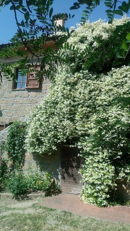 Agriturismo Solidor Pitigliano Italy